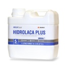 Anclaflex Hidrolaca Plus