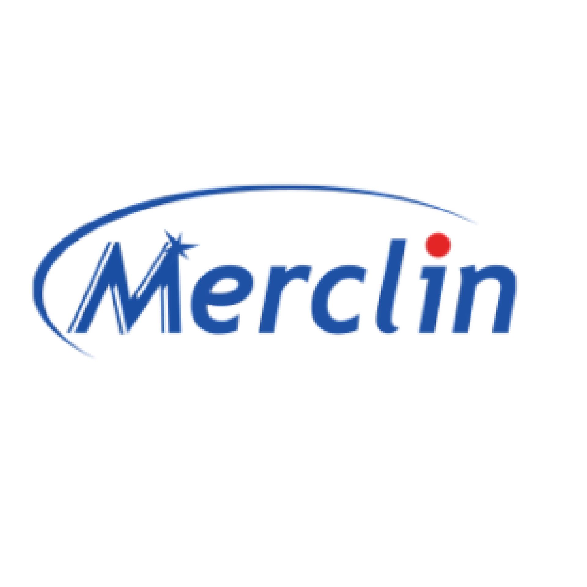 MERCLIN LIMPIA METALES 450 ML