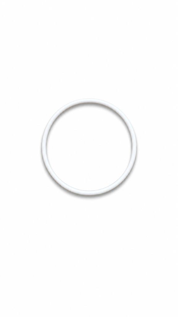 Titan Oring 145-031 