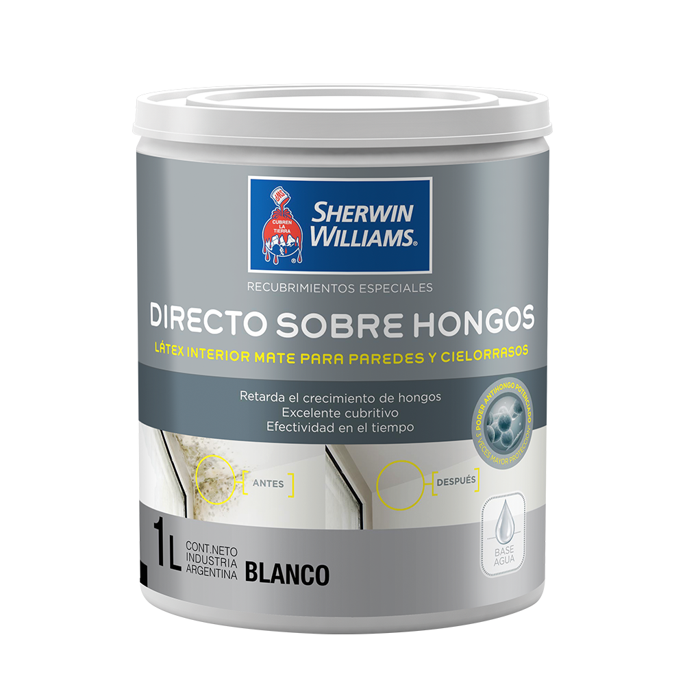 Sw Directo Sobre Hongos