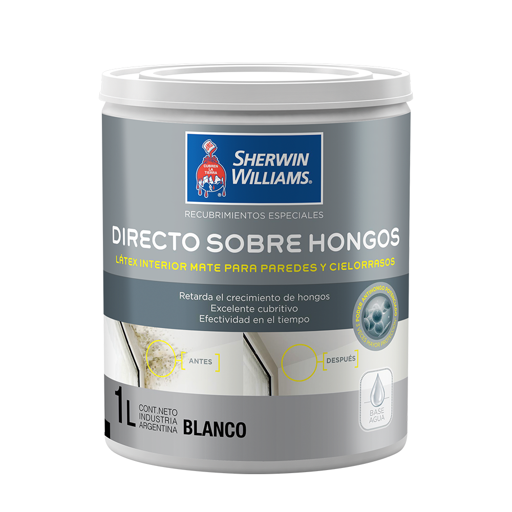 Sw Directo Sobre Hongos