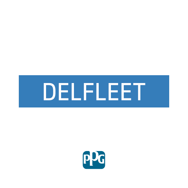 Delfleet Resina Nitroacrilica F346